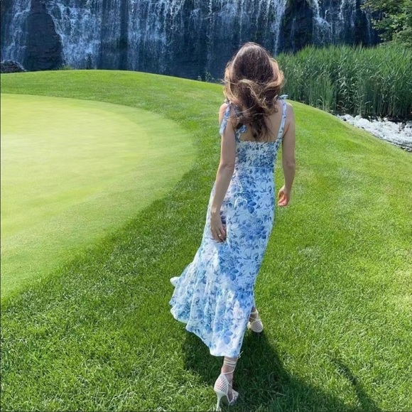 Reformation Nikita dress   Pompadour  AUTHENTIC - Picture 7 of 14